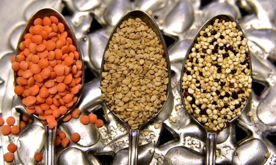 The best food sources of protein -  legumes