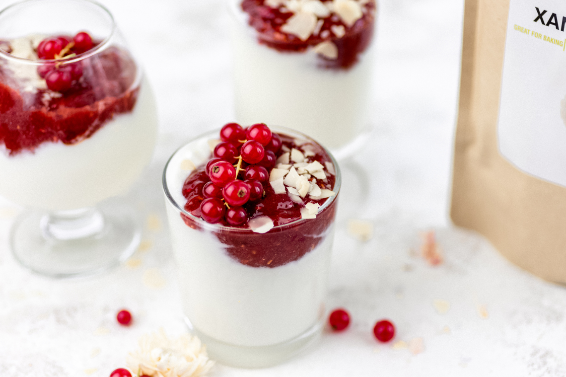 Fitness Recipe: Panna Cotta with Curd & Forest Fruit
