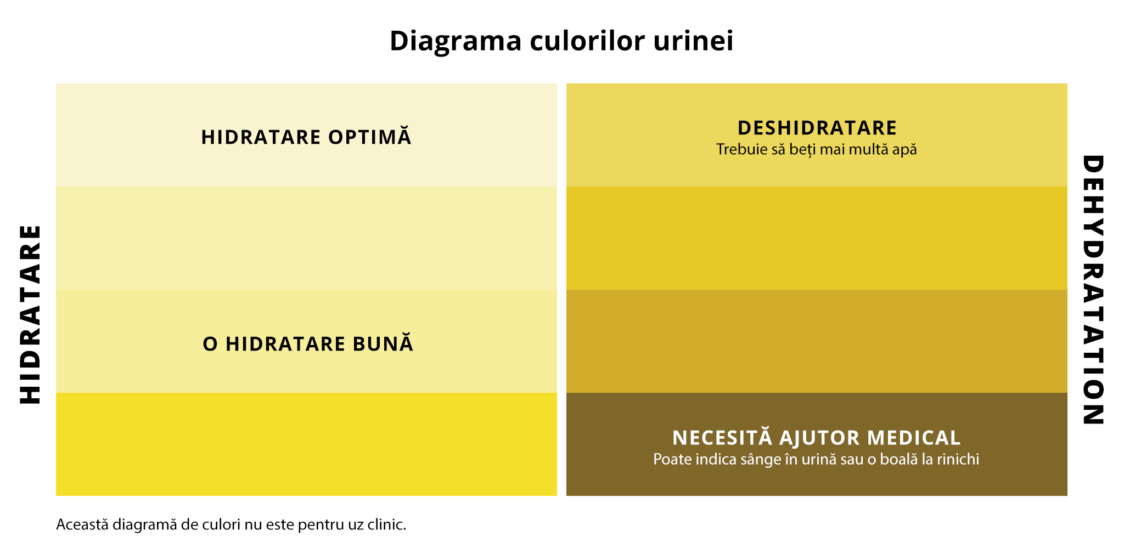 Schema culorii urinii