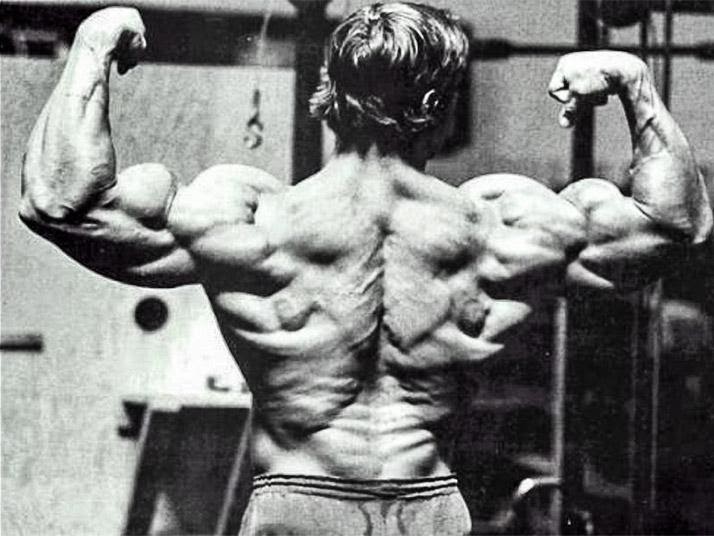 Arnold Schwarzenegger: 31 tips for every muscle part