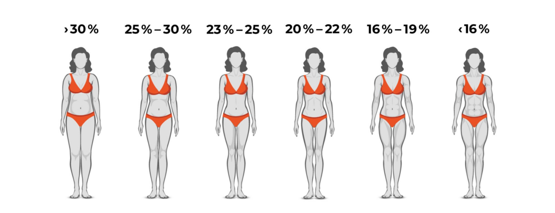 delež maščobe za viden "six-pack" pri ženskah