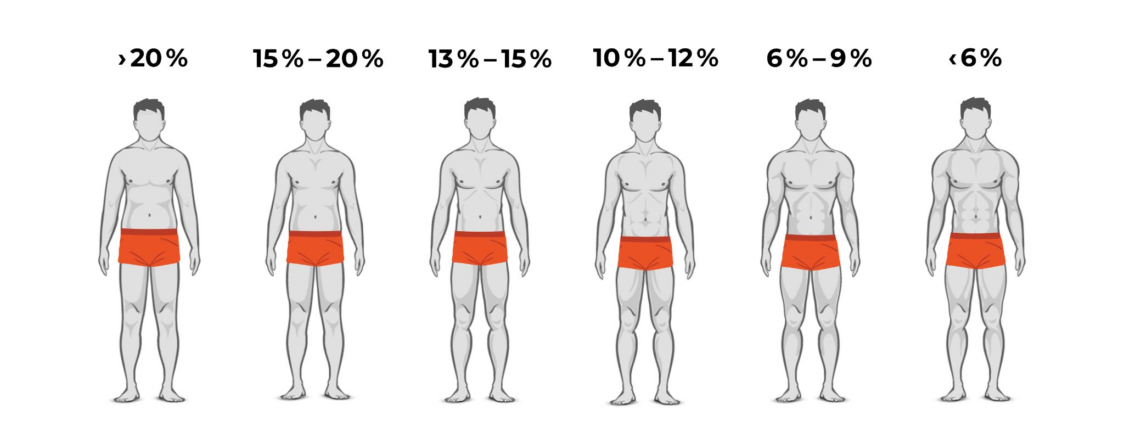 proporzione di grasso per un six-pack visibile negli uomini