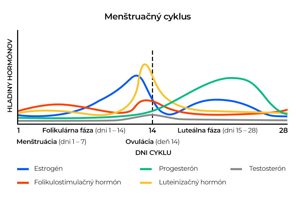 Ako vyzerá prirodzený mesačný cyklus? Ako vyzerá prirodzený mesačný cyklus?