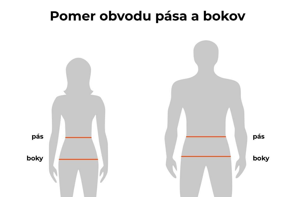 Waist-to-hip ratio Waist-to-hip ratio (WHR index) - Pomer obvodu pása k obvodu bokov
