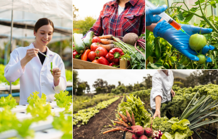 GMO potraviny: Spása, alebo hrozba?