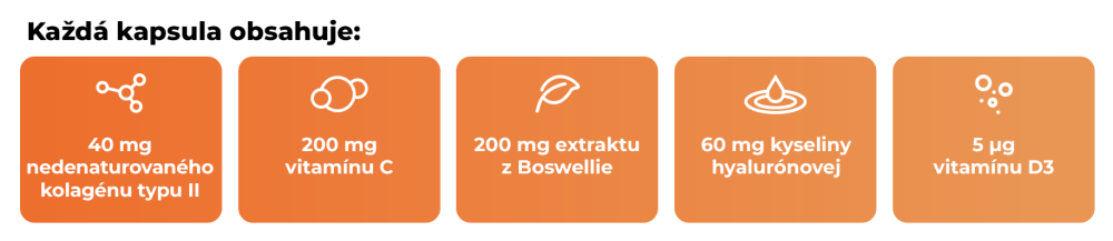 Kolagén typ II kĺbový komplex - GymBeam