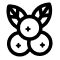 5 000 mg całych owoców