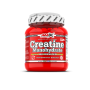 Creatine Monohydrate - Amix 500 g