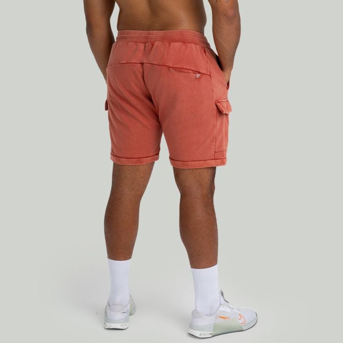 Šortky Washed Terra - STRIX L