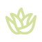 Aloe vera a glycerin