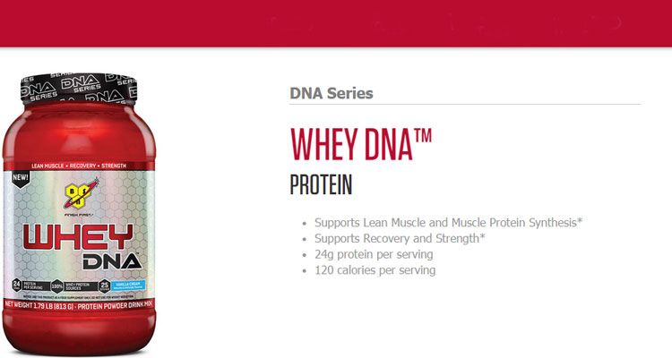 Протеин Whey DNA 1870 г - BSN