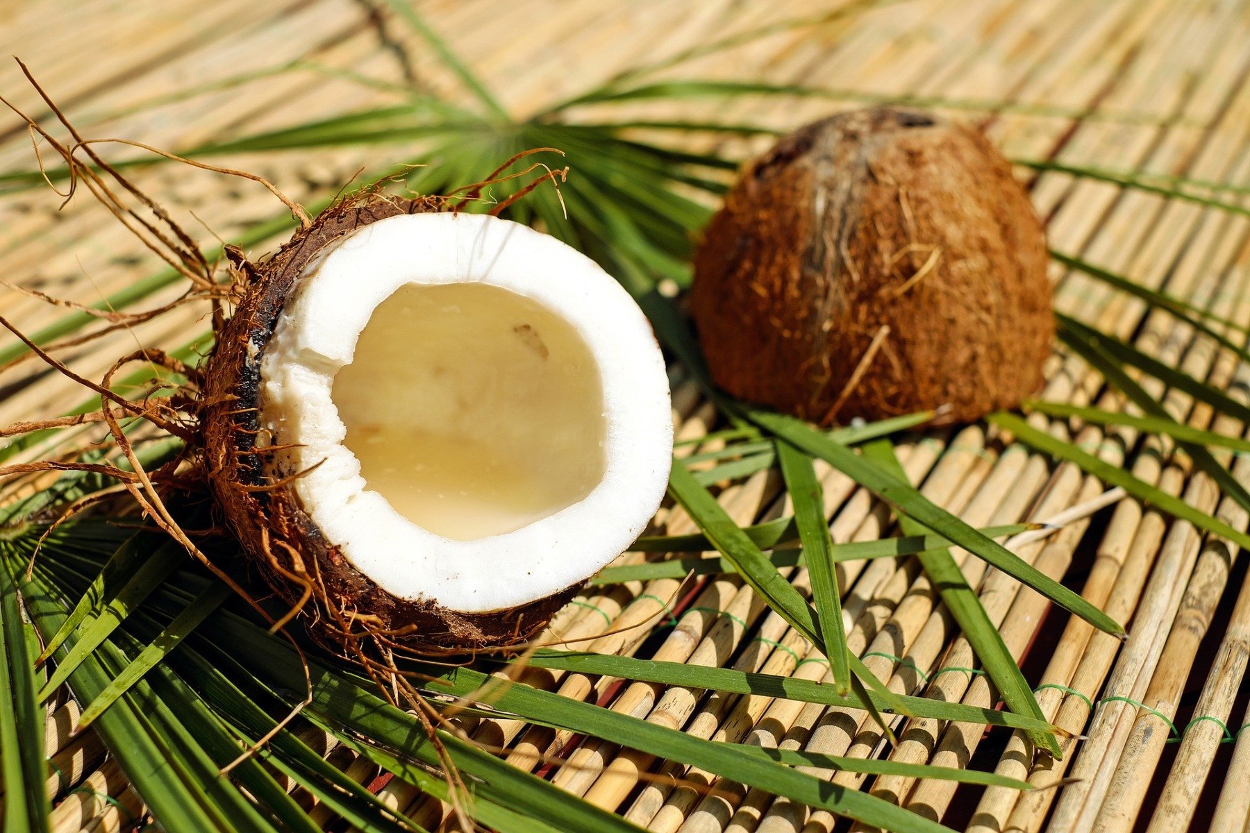 BIO panenský kokosový olej - Wolfberry