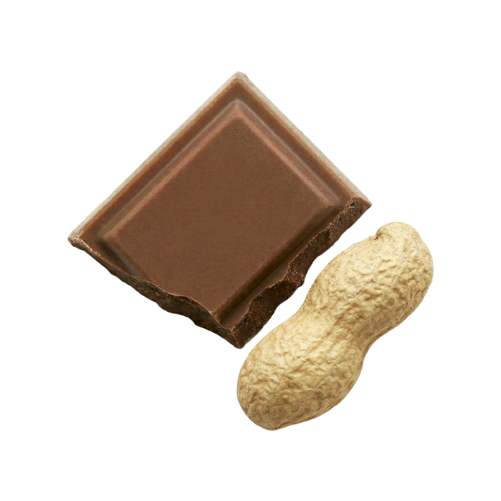 Veganska proteinska pločica Ridiculous – The Protein Works