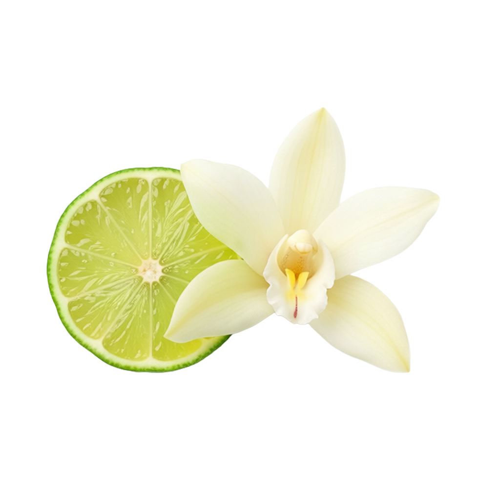 Vanille Limette